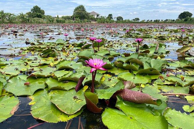Bangkok: Red Lotus Pond & Thonburi Market - Food, shopping, and people-watching
