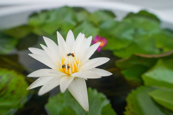 Bangkok Wat Pho and Flower Market Historical Walking Tour - A short visit to Wat Pho