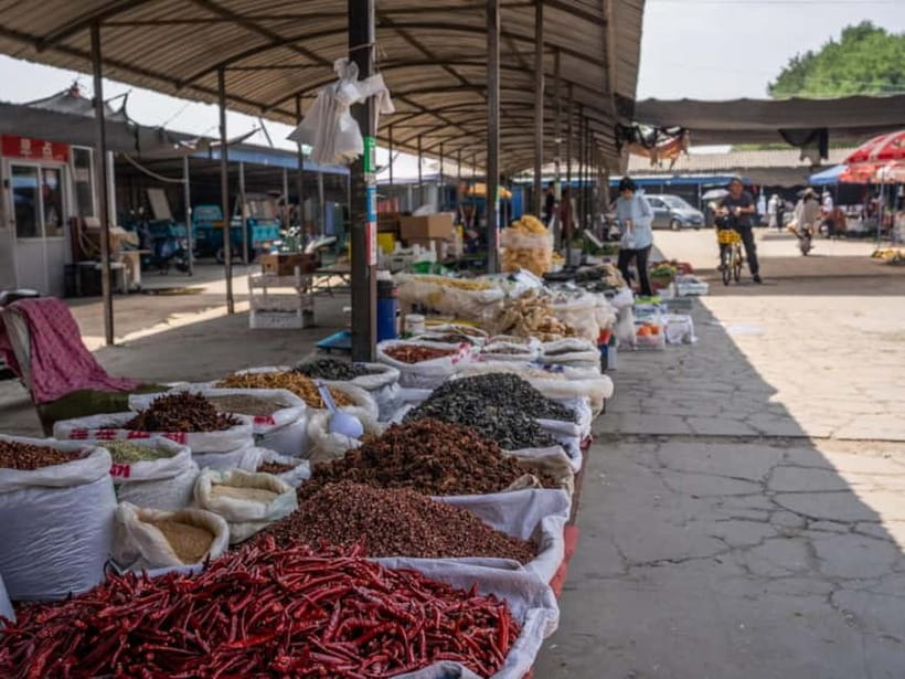 Beijing: Vegan Home Cooking & Local Market Tour with Sanxia - What you may cook with Sanxia
