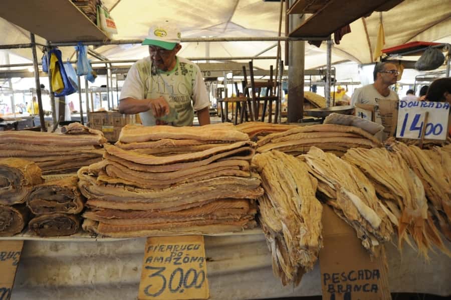 Belém: Half-Day City Tour with Ver-o-Peso Market Visit - Why Ver-o-Peso is the right place to start