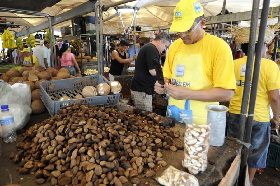 Belém: Half-Day City Tour with Ver-o-Peso Market Visit - Practical details that can change your day