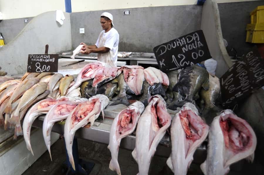 Belém: Ver-o-Peso Market and Full-Day City Tour with Lunch - Key points at a glance