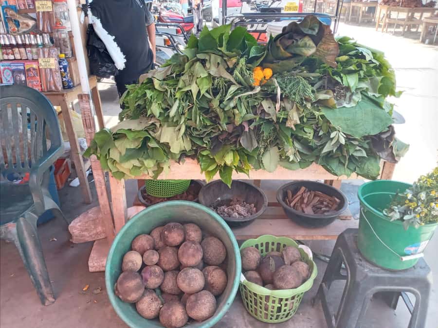 Belen Market & Floating City 2-3 Hour Private Tour - Belen Market: where the tour gets its local flavor