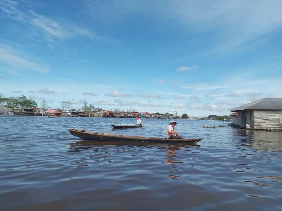 Belen Market & Floating City 2-3 Hour Private Tour - What you learn from the jungle products