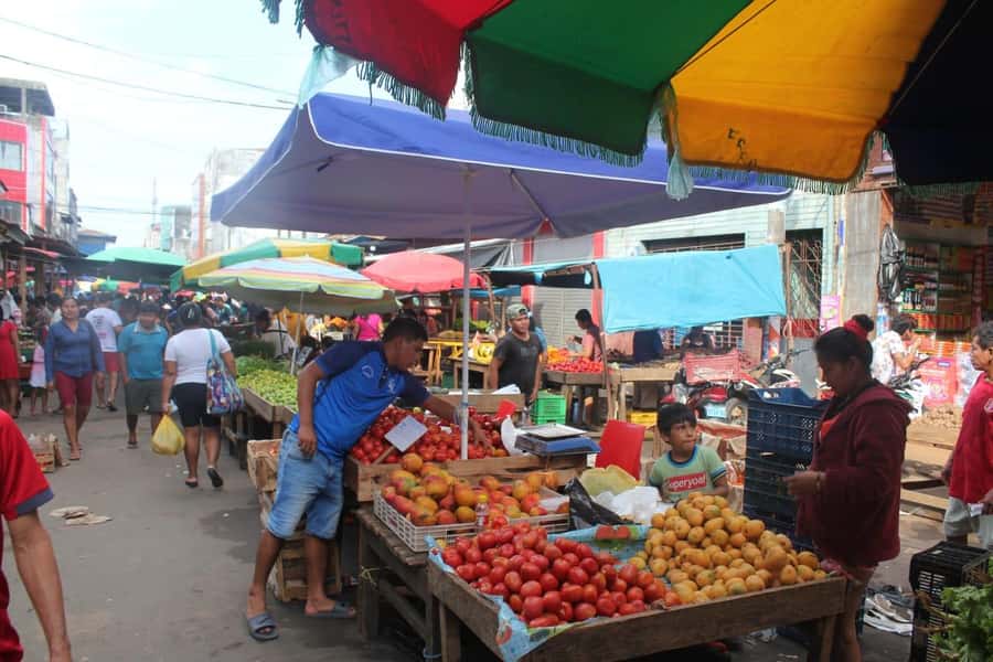 Belen Market & Floating City 2-3 Hour Private Tour - Why a private guide matters here