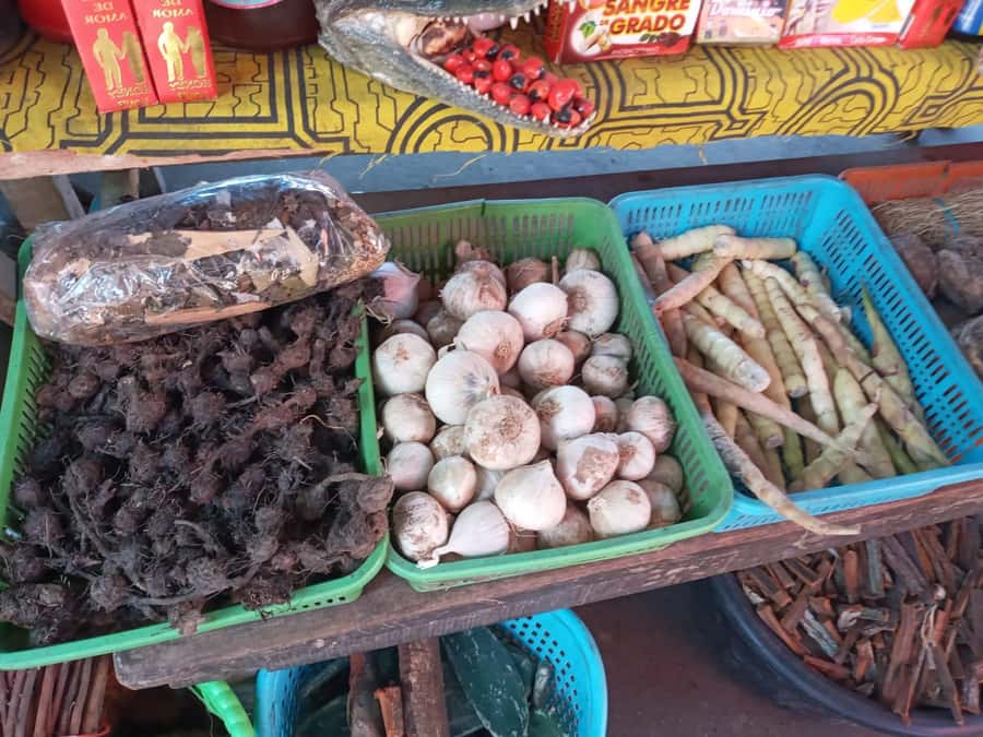 Belen Market & Floating City 2-3 Hour Private Tour - Who will enjoy this outing most