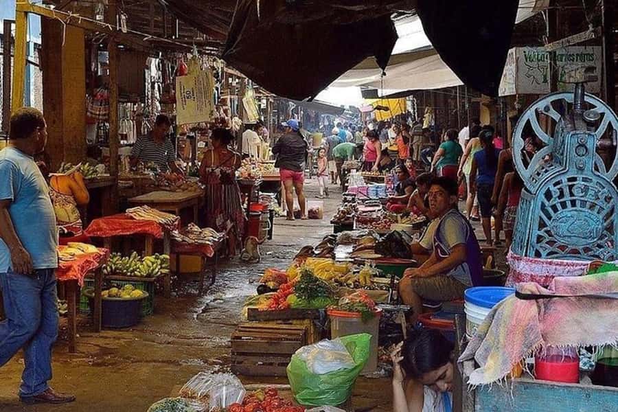 Belen Market & Floating City 2-3 Hour Private Tour - Practical preparation for Belen and the water