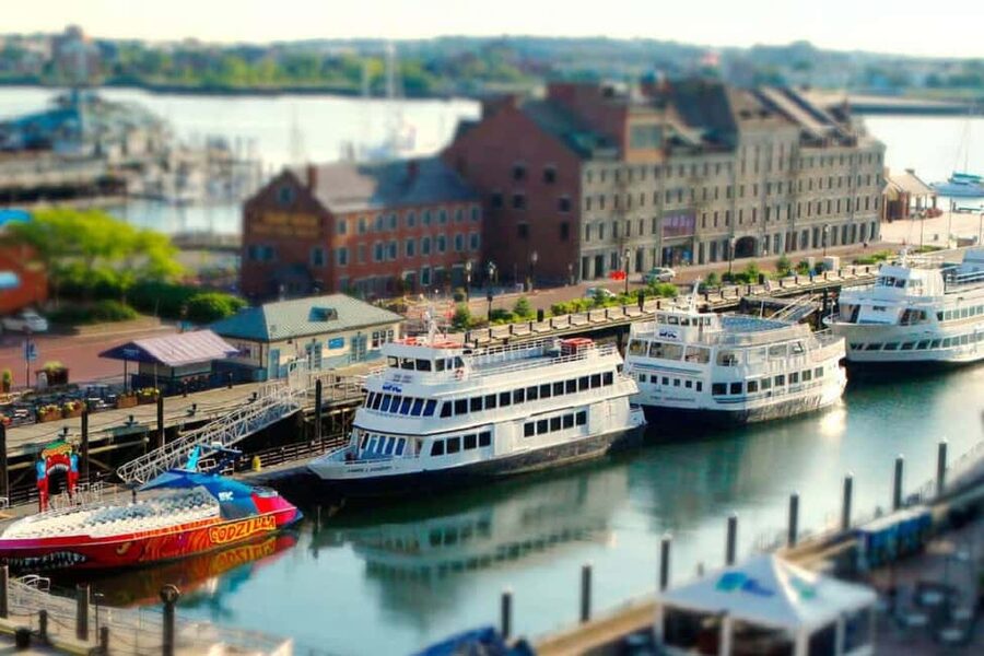 Best Of Boston: Harvard, MIT and Harbor Cruise 1 Day Tour - A compact Boston day with a useful plan