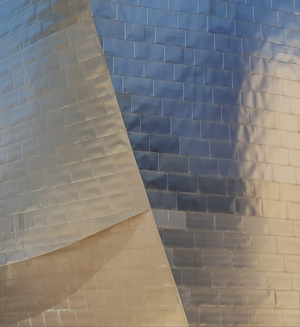 Bilbao, Ribera market and Guggenheim from San Sebastian - Who Should Book This Bilbao Excursion?