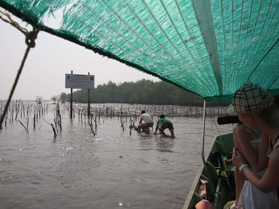 BKK :Meet monkey, mangrove forest, seafood& market -private - What to bring and how to prepare