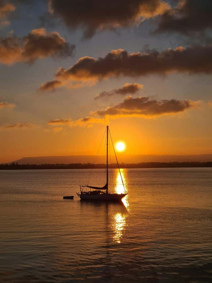 Brisbane: Eumundi Markets, Noosa Gems & Afternoon Cruise - What the $133 price covers