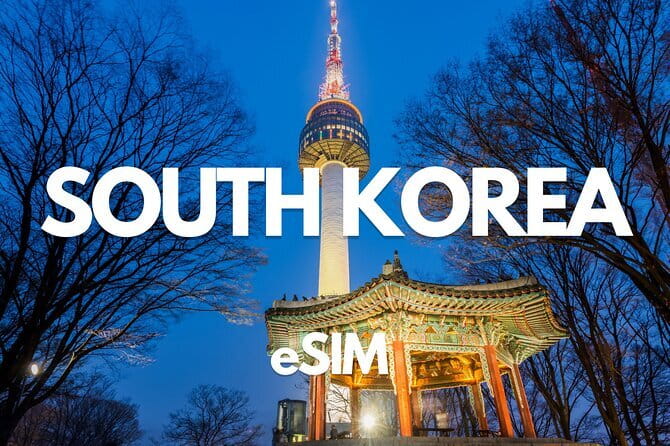 Busan: Food Crawl with Fish Market, Soju Tents & Local Snacks - What the guide adds to the meal