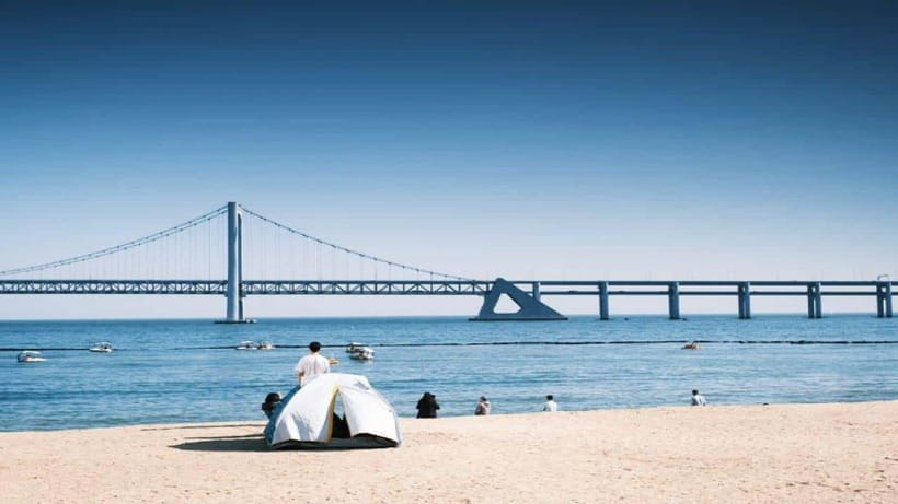 Busan: Jagalchi Market & Gamcheon village Walking Tour - A four-hour route through Busan’s old center
