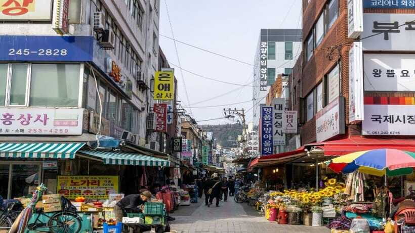 Busan: Jagalchi Market & Gamcheon village Walking Tour - What the private format adds