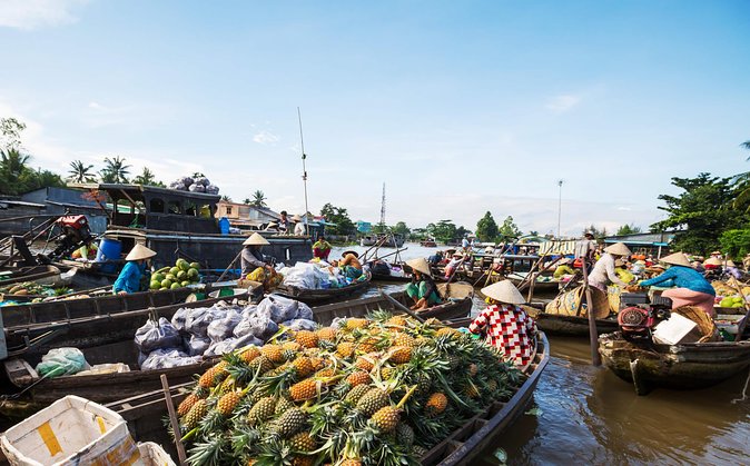 Cai Rang Floating Market & Mekong Delta Private 1-Day Tour - Why the 5:00 AM departure earns its place