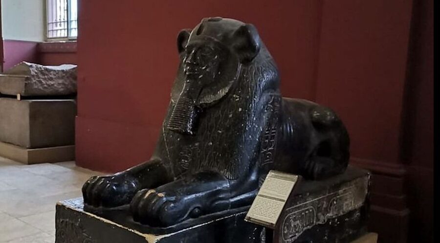 Cairo: Great Pyramids, Egyptian Museum, Bazaar Layover Tour - How the Private Format Affects the Day