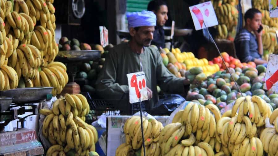 Cairo: Local Market Guided Tour with Tuk-tuk Ride & Lunch - Key points to know before booking