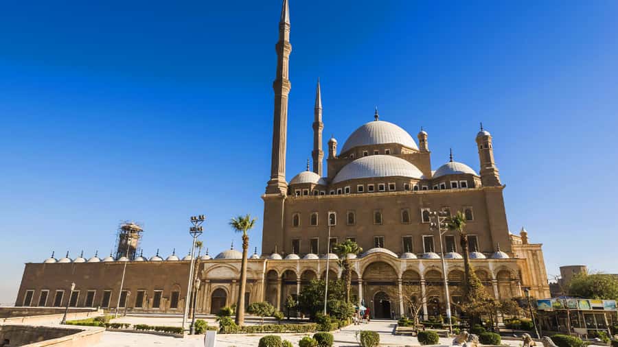 Cairo: National Museum, Saladin Citadel & Khan El Khalili. - Who should book this Cairo day trip?