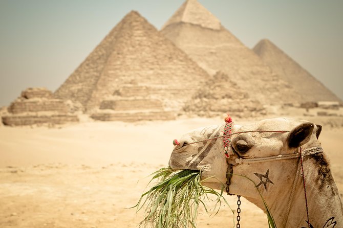 Cairo Private Tours To Giza Pyramids,Egyptian Museum & Bazaar - Comfort, timing, and the day’s limitations