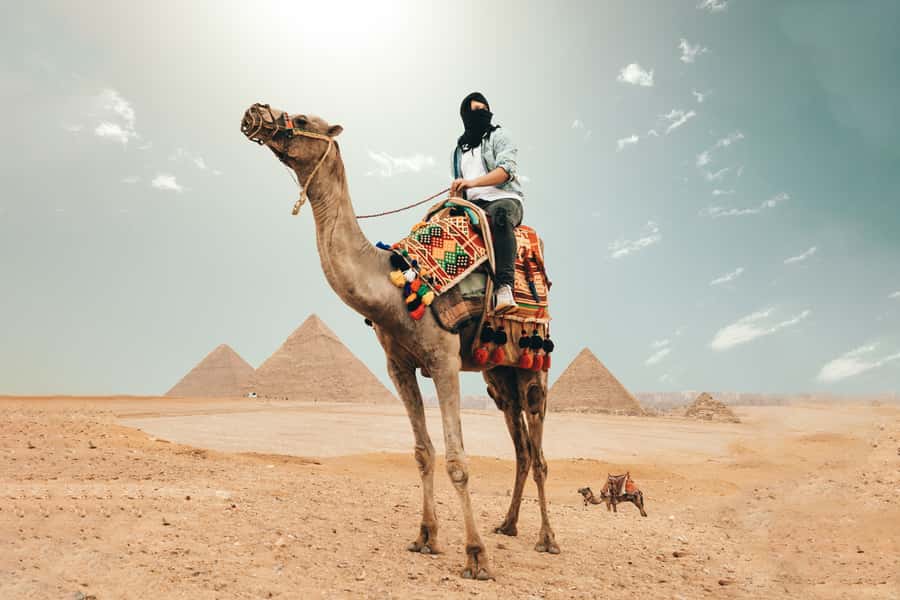 Cairo: Pyramids, Bazaar, Citadel Tour with Photographer - Lunch and the Al Azhar Park question