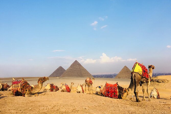 Cairo Sightseeing Tour (Giza Pyramids + Museum + Khan el Khalili Bazaar) - The guide can shape the whole day