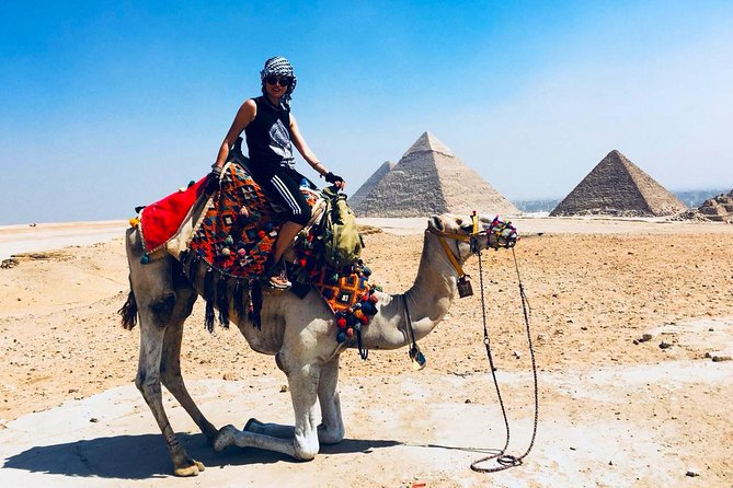 Cairo Unusual Day Tour Visit Camel Market in Birqash - What the guide adds to the camel trade