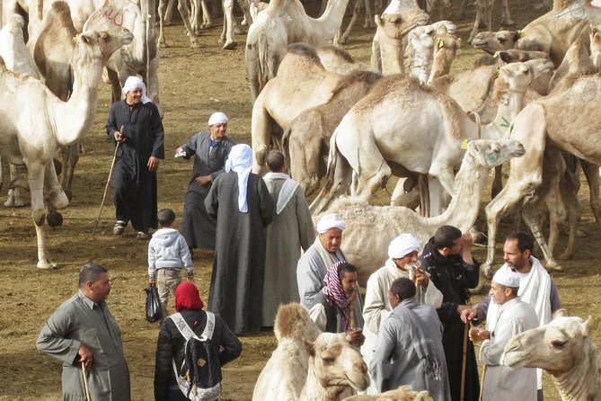 Cairo Unusual Day Tour Visit Camel Market in Birqash - Entering Souq al-Gamaal at Birqash