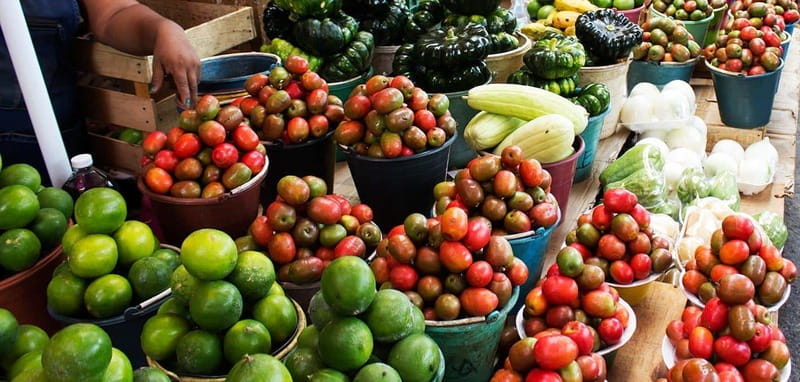 Campeche: Gastronomic Route through the city Market - Four panuchos, four different flavors
