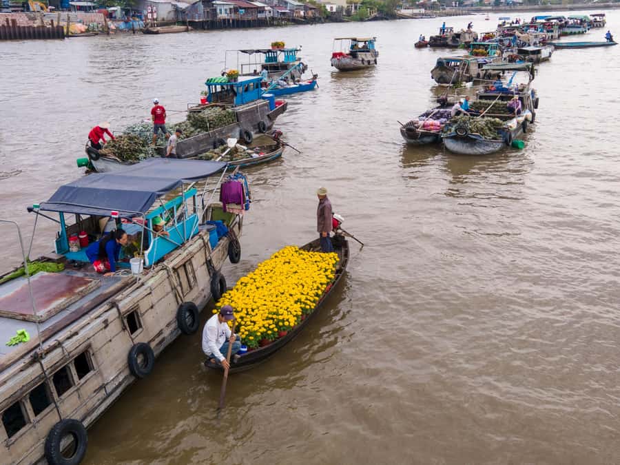 Can Tho: A Real Mekong Tour, Floating Market, Cacao & Life's - Fresh pineapple and a closer look at river life