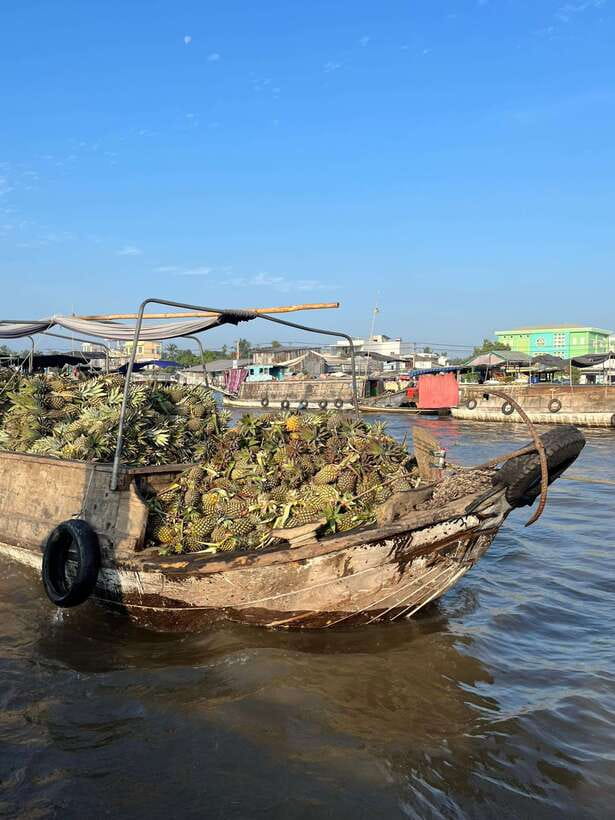 Can Tho: Cai Rang Floating Market and Canals - Reaching Cai Rang while the trade is underway