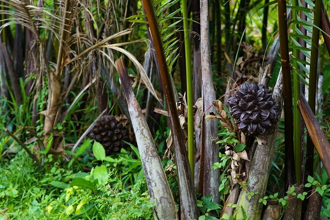 Can Tho Floating Market and Fruit Garden Tour - What $55.28 includes
