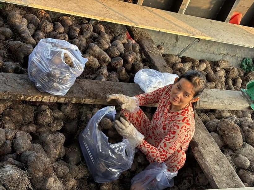 Can Tho: Floating Market, Cacao & Canals with French Guide - The rice noodle workshop and a useful lesson in food