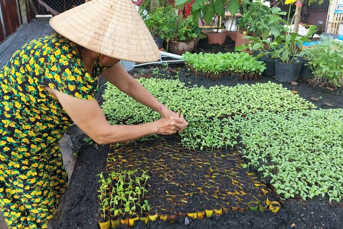 Can Tho: Floating Market, Canals, Nature Reserve & Forest - Cai Rang Floating Market at about 6:00 a.m.