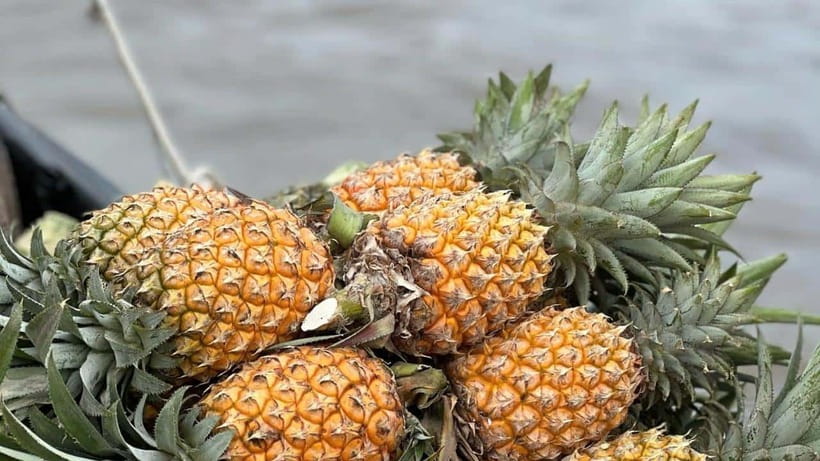Can Tho: Floating Market explore local life, Mekong farm - Why this Can Tho tour feels different from a market-only visit