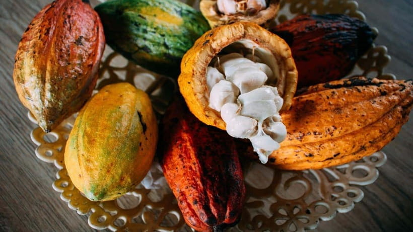 Can Tho: Floating Market explore local life, Mekong farm - Is $54 a fair price?