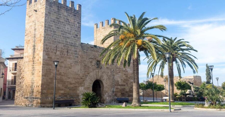 Cap de Formentor: Market, Beach, and Alcudia Tour - What to bring and how to use the day well