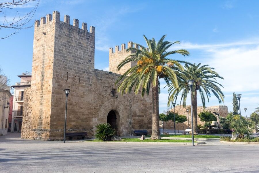 Cap de Formentor: Market, Beach, and Alcudia Tour - Starting with a traditional market