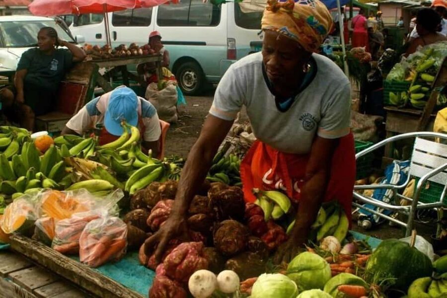 Castries: Guided City Architecture and Castries Market Tour - Starting in Castries, with the city as your subject