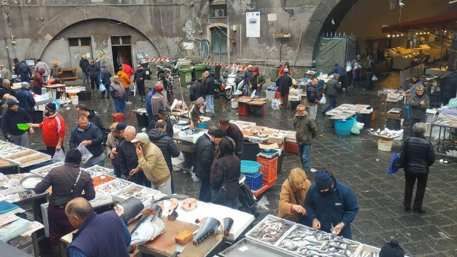 Catania Street Food Tour: Fish Market & City Centre - Cannoli, cassatella, and a generous finish