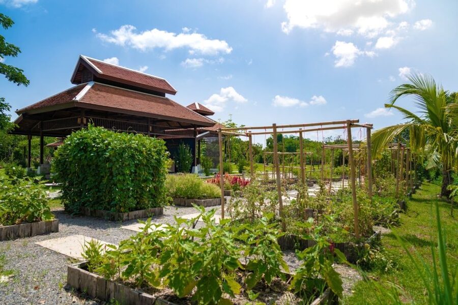 Chiang Mai: Authentic Cooking Class with Market & Farm Visit - Choosing between morning, afternoon, evening, and full day