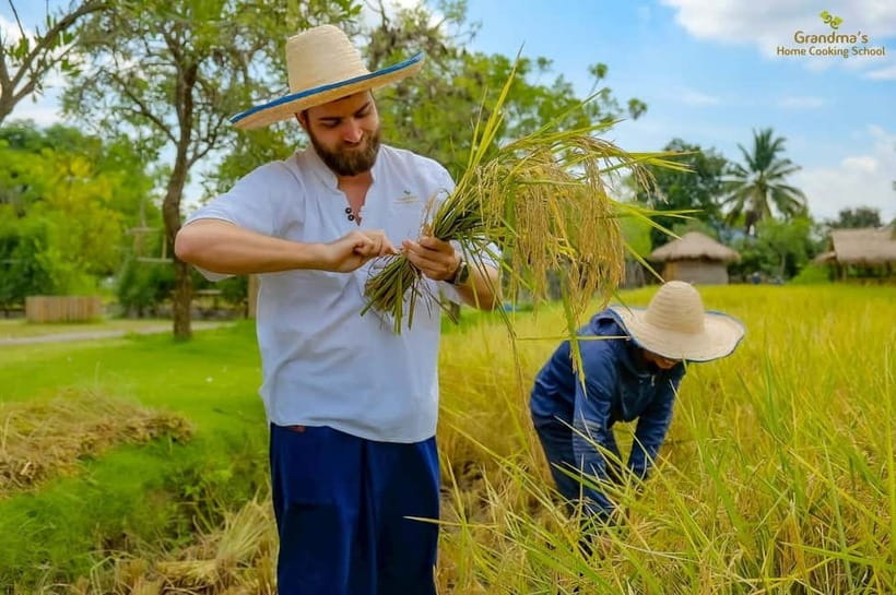 Chiang Mai: Authentic Cooking Class with Market & Farm Visit - The meal is part of the lesson