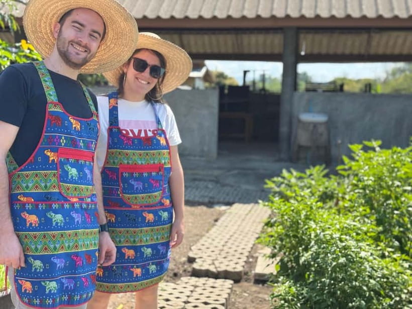 Chiang Mai : Cook in Farm, Market tour & Go by a Local Train - Choosing Dishes and Learning Thai Flavor Balance
