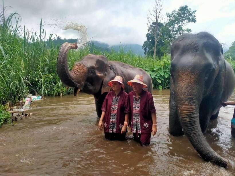 Chiang Mai: Elephants, Sticky Waterfalls, Market and Temple - Why this day trip works so well