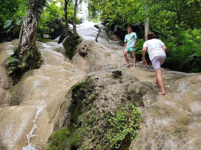 Chiang Mai: Elephants, Sticky Waterfalls, Market and Temple - Meeting the elephants in the countryside