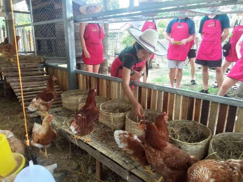 Chiang Mai: Half Day Cooking Class at Organic Farm - A market visit that gives the cooking class context