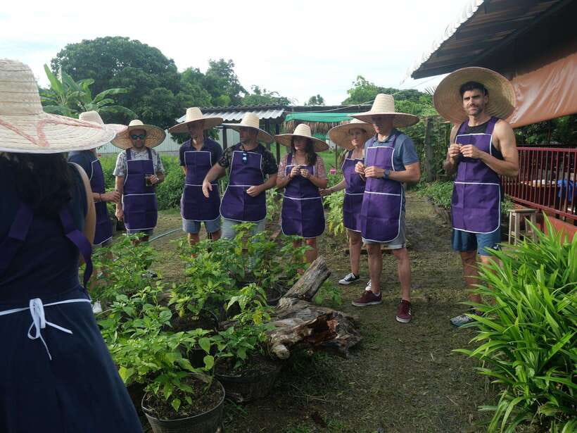 Chiang Mai: Half Day Cooking Class at Organic Farm - Three settings, three different moods