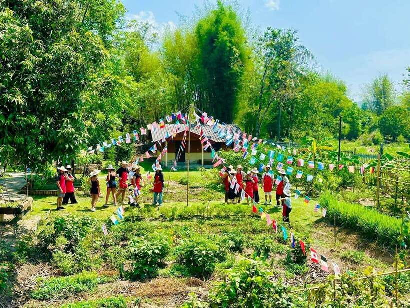 Chiang Mai: Half Day Cooking Class at Organic Farm - Cooking at your own station