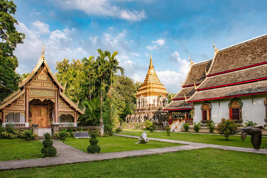 Chiang Mai Light: Tuk Tuk Night Tour with Temples & Markets - Wat Lok Moli, a quieter change of mood