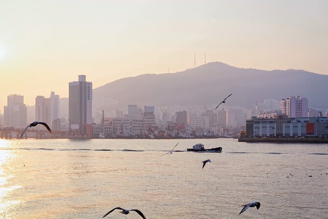 Colors of Busan: Sky Capsule, Jagalchi Market & Night Views - A fast route through Busan’s changing colors