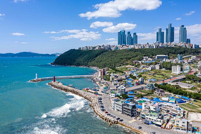 Colors of Busan: Sky Capsule, Jagalchi Market & Night Views - What the $62.48 price really covers
